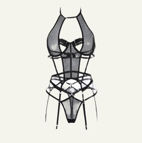 Extraordinary Fishnet Bodysuit with Garter