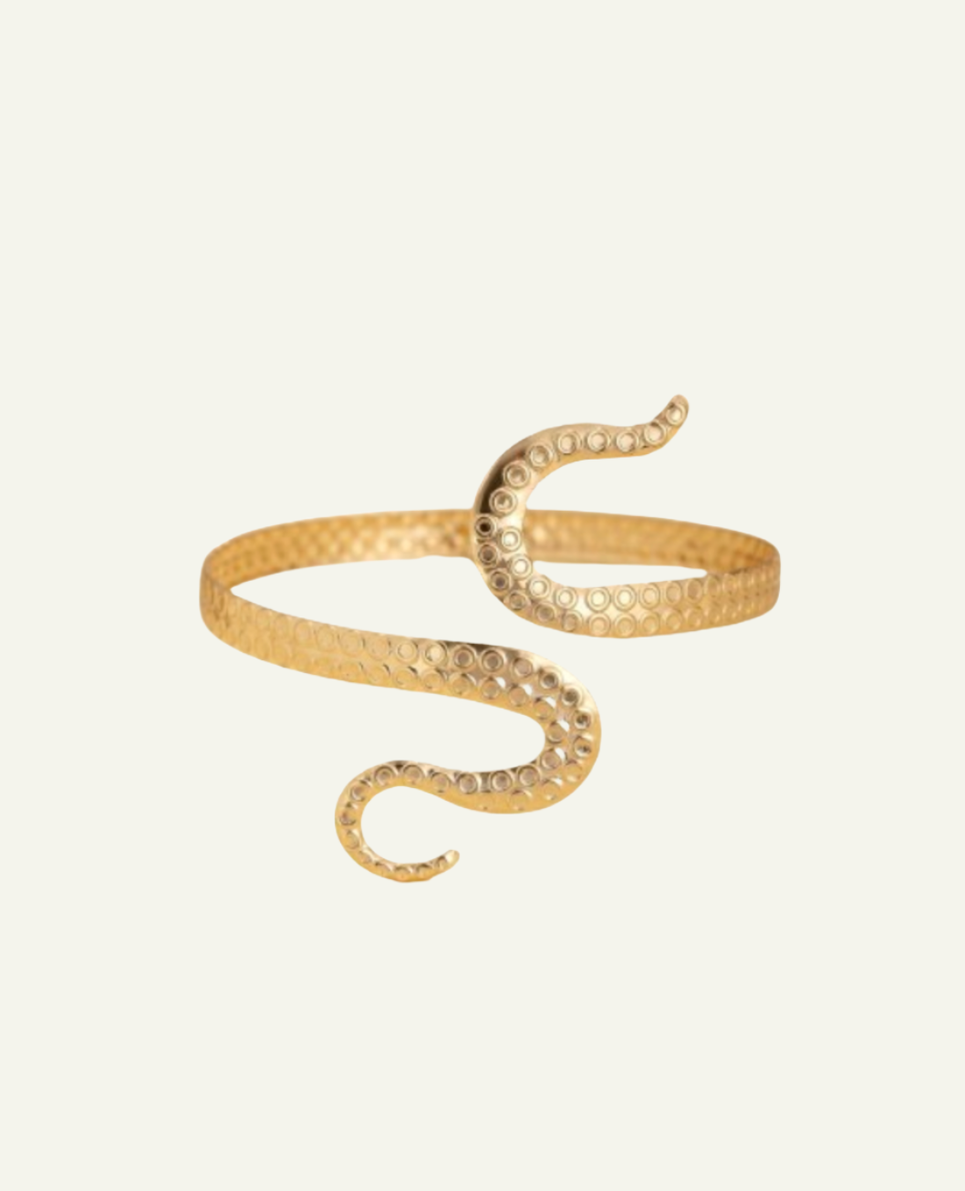 Golden Snake Arm Accessoire