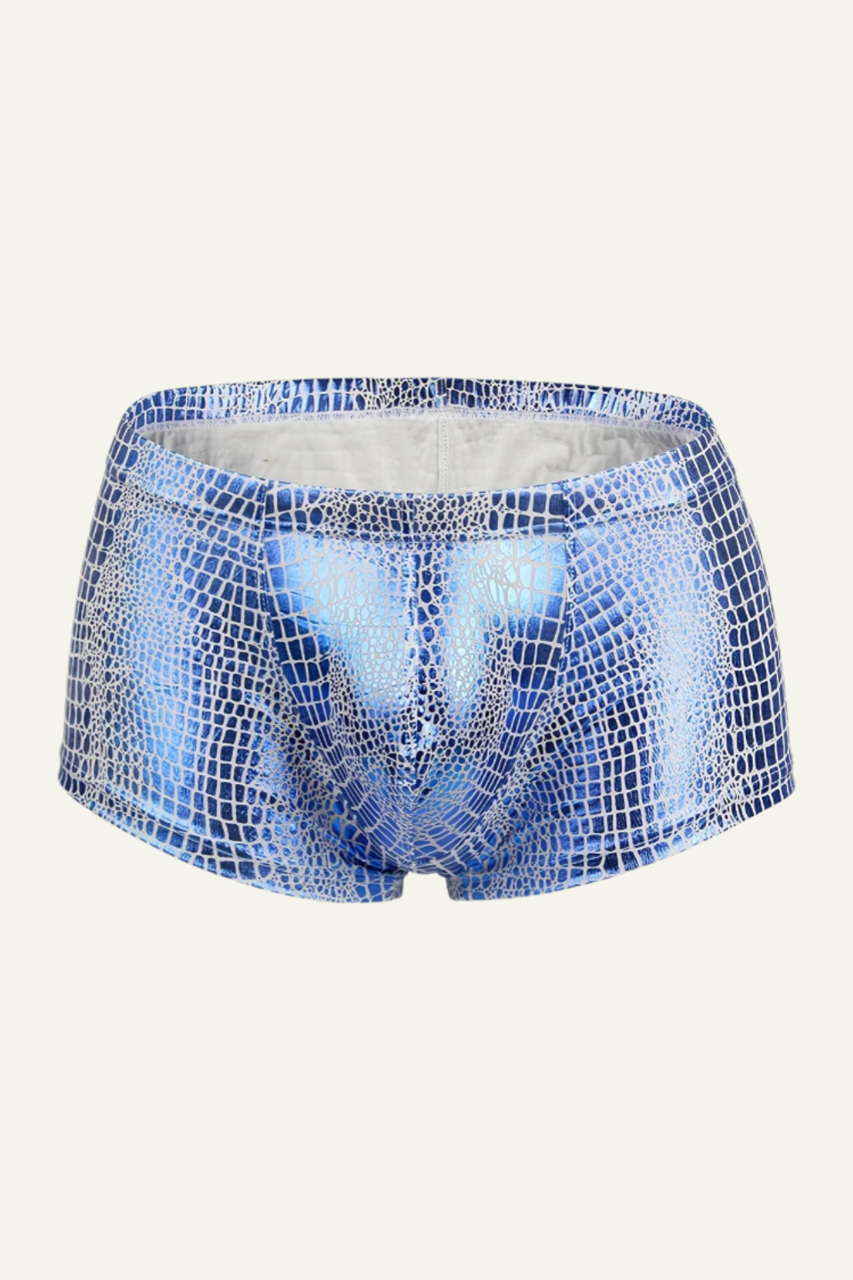 Spacy Metallic Shorts