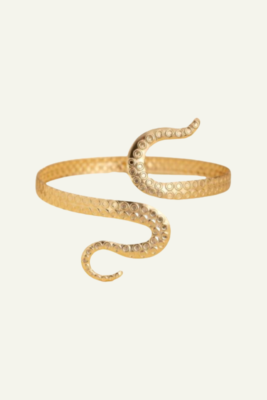 Golden Snake Arm Accessoire